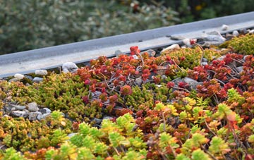 the cost of Blackmill green roof installation