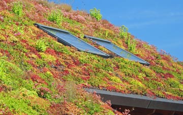 Blackmill living roof systems